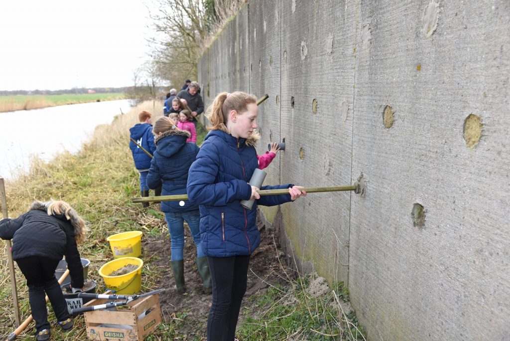 Leerlingen Lantscheene helpen bij zwaluwwand