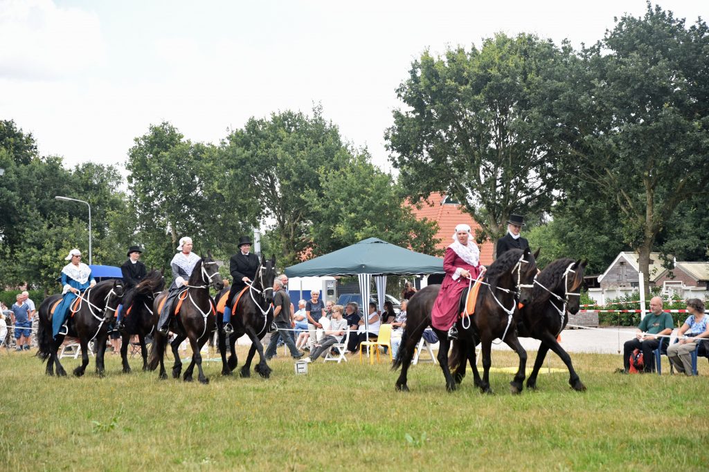 Fries Paardenballet