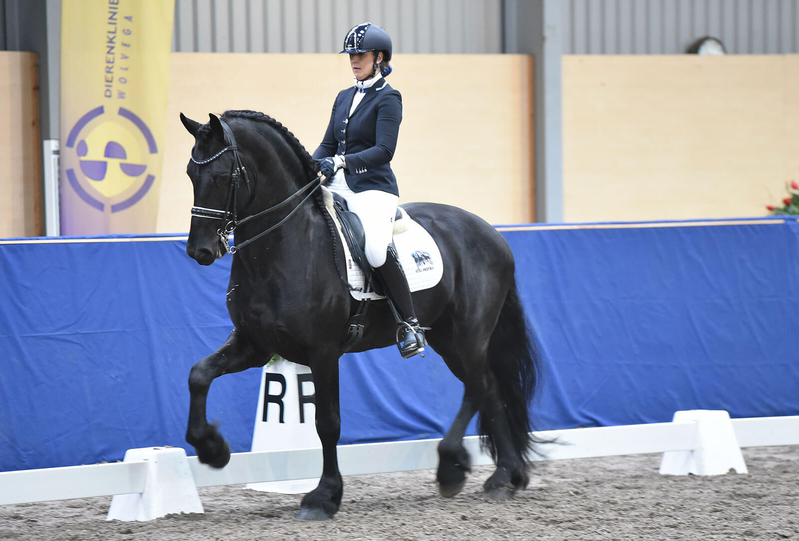 Nederlands Indoorkampioenschap Friese paarden