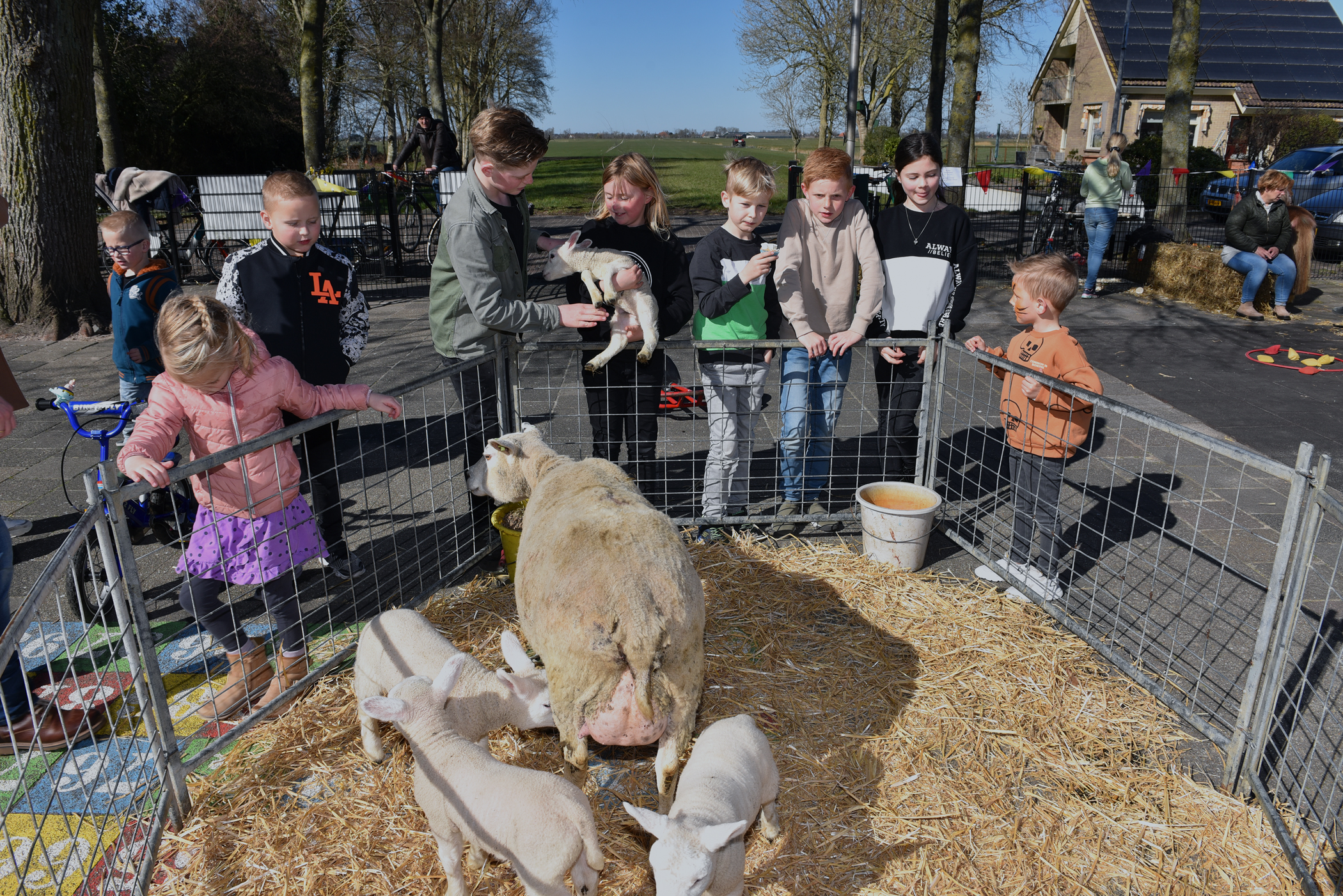 Lammetjesdag gekoppeld aan Open Dag OBS De Lantscheene Oldetrijne