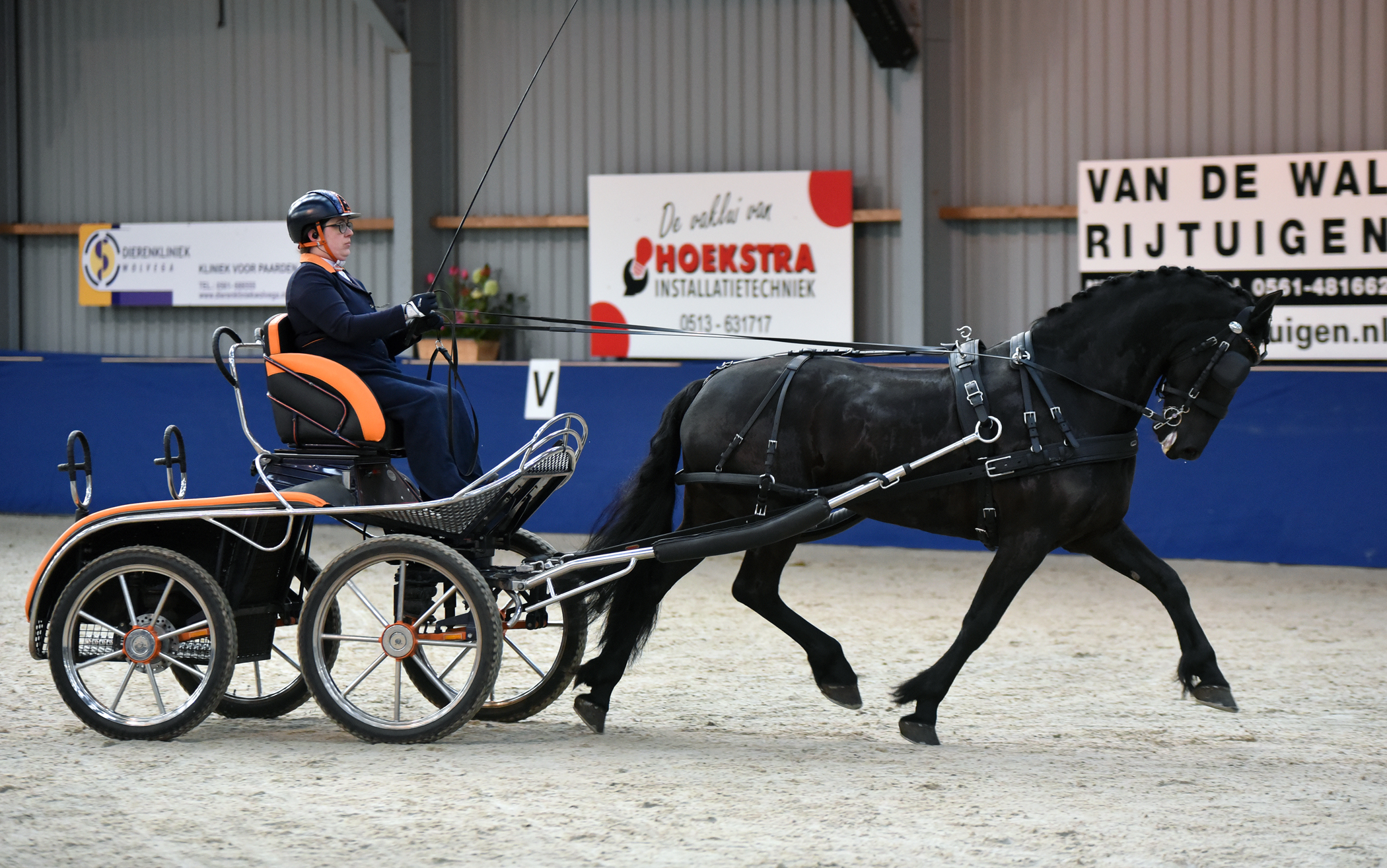 Noordelijke Kampioenschappen mennen in manege Caprilli Sonnega