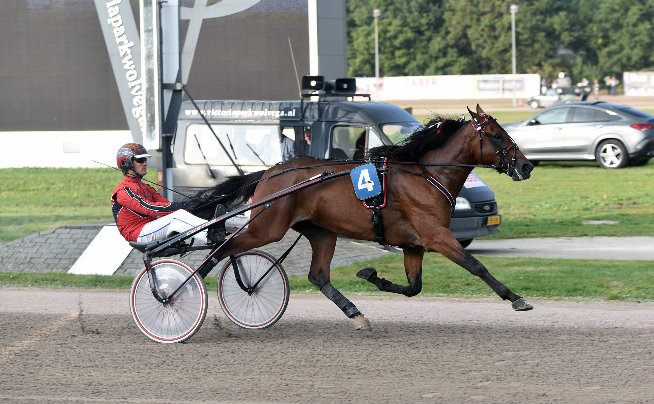 Trainer Paul Hagoort succesvol met jonge dravers 